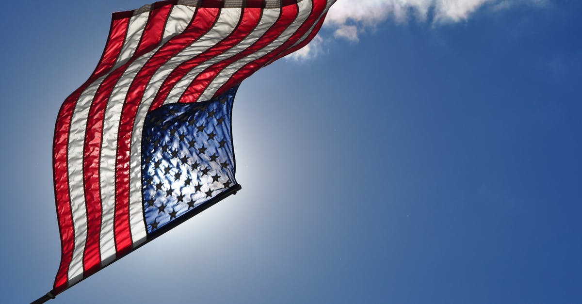 What is the customs process upon flying into the United States? - American Flag Flying in the Wind