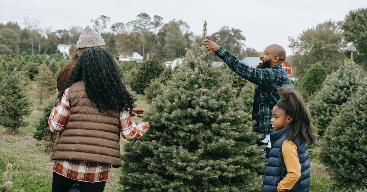 What is the difference between dependant and dependent family member - African American family making New Year preparation and choosing Christmas tree on farm with different spruces