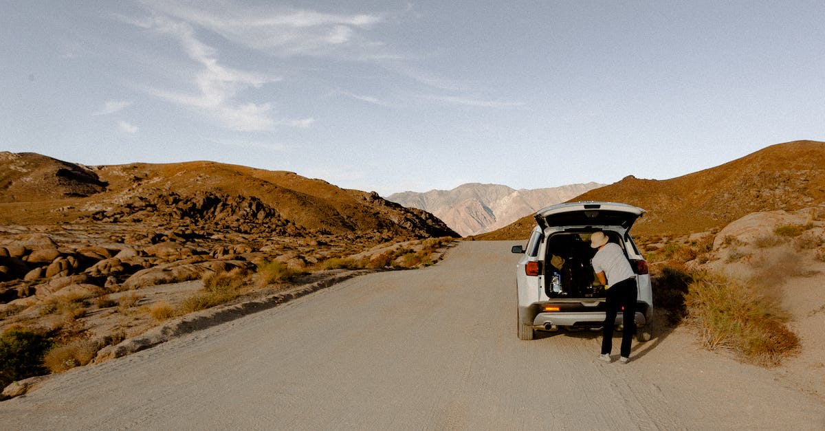 What is the longest distance by car ferry? - Person Standing Behind Vehicle