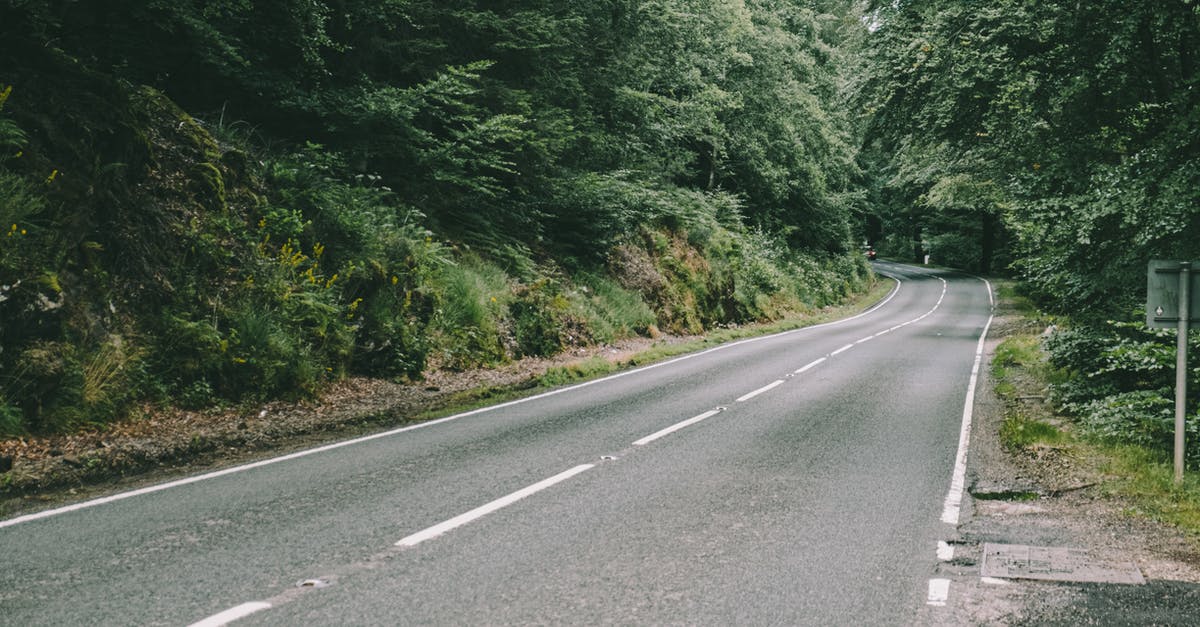 What is the most campsite-dense route between Belgium and the Tatras? - Narrow straight asphalt highway surrounded with tall green trees with lush foliage growing in forest in countryside on summer day