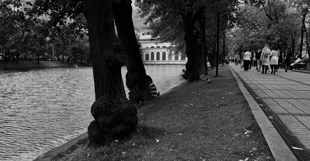 What is the most inexpensive way to obtain a visa for Russia and stay legally for 30 days? - Black and white of unrecognizable pedestrians walking along alley in Chistoprudny Boulevard near Clean Ponds in Moscow