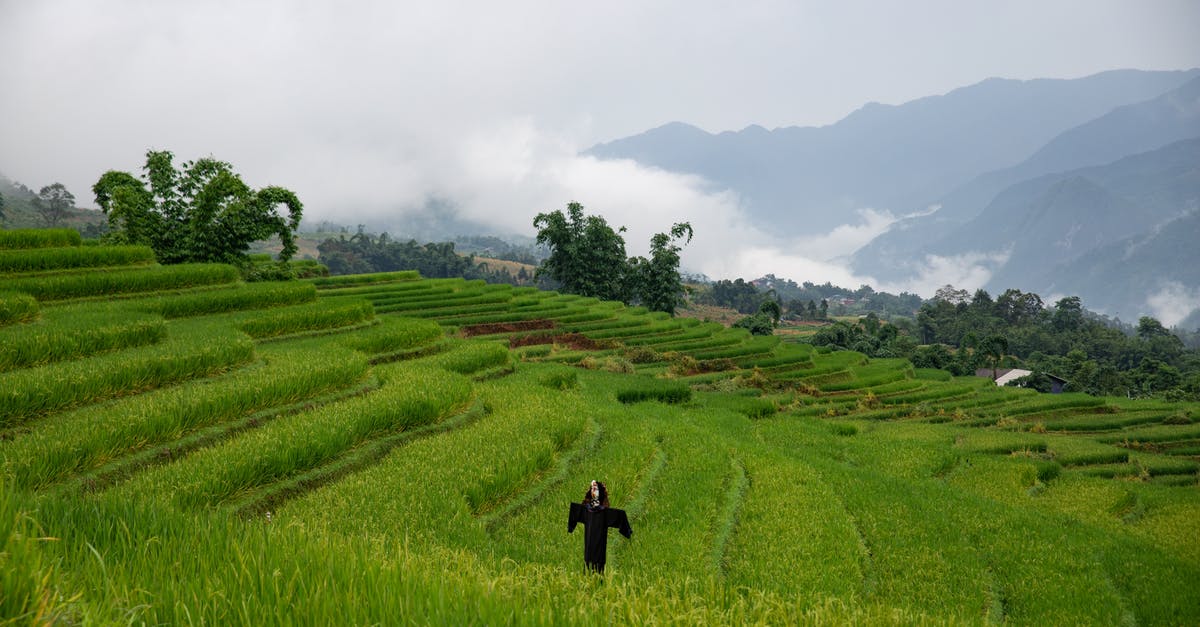 What is the purpose of the "religion" field on the Vietnam EVisa application? - A Scarecrow On Rice Field What is the purpose of the "religion" field on the Vietnam EVisa application? - A Scarecrow On Rice Field