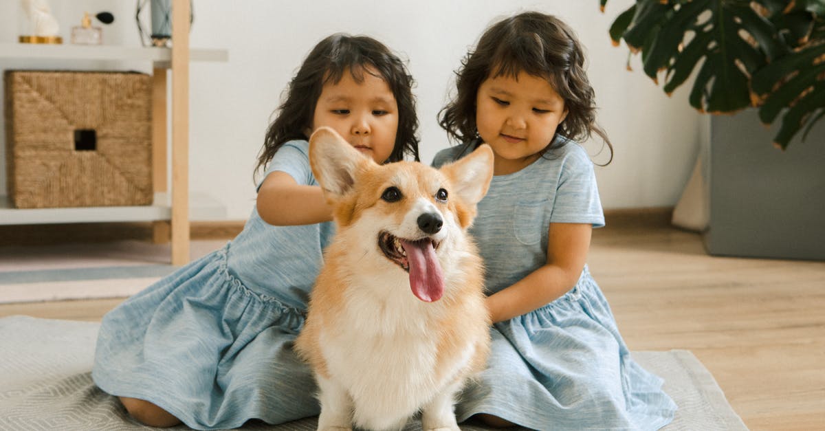 What is the purpose of this single box found in Rome B&B room? - Twin Girls with a Small Dog Sitting on a Carpet