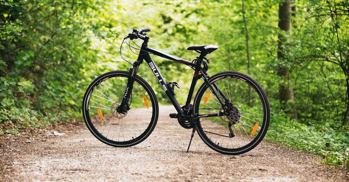 What is the Radroute bicycle path? - Black and White Hardtail Bike on Brown Road Between Trees