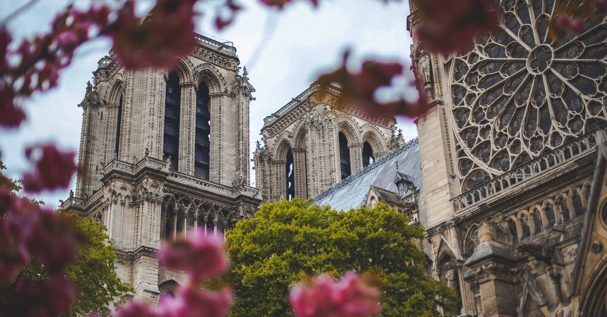 What is the situation like in Paris in late December 2019? - Low-Angle Photo of Notre Dame