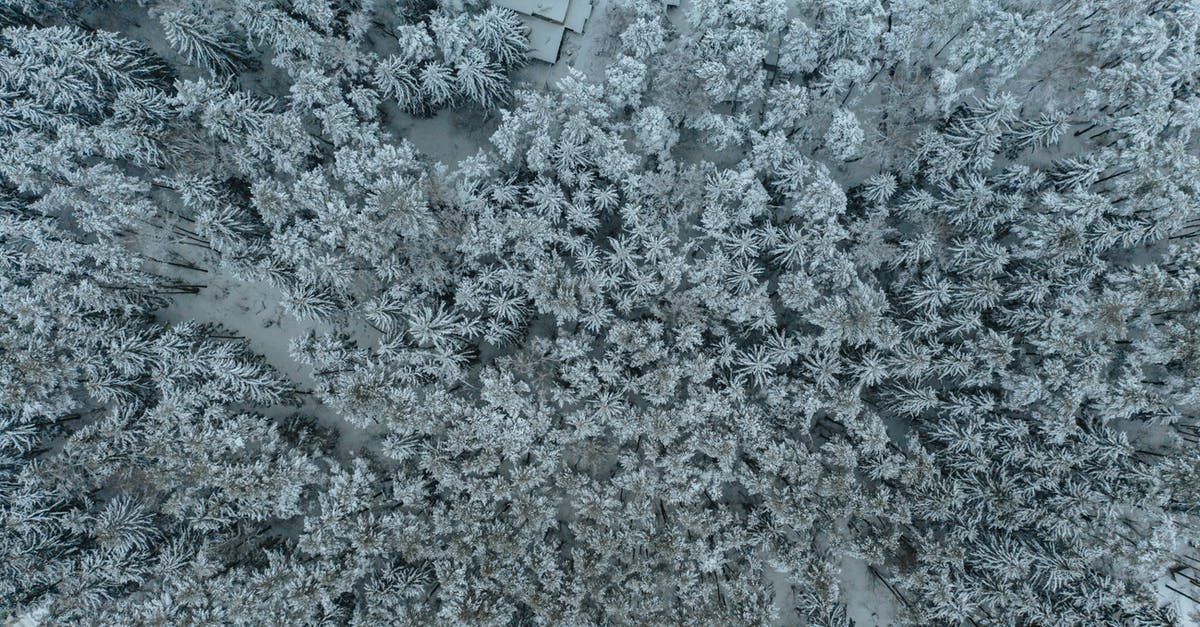 What is the weather usually like in November in Palawan, Philippines? - Free stock photo of abstract, bird eye, christmas