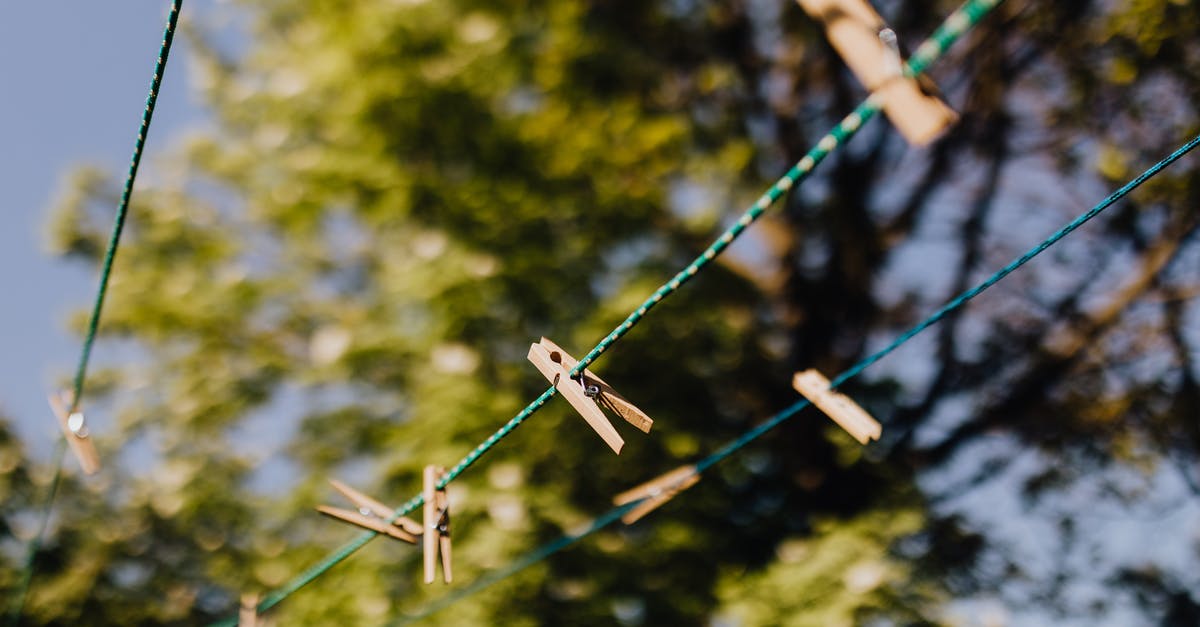 What is this green thing in the sea? - Clothespins attached to ropes near trees