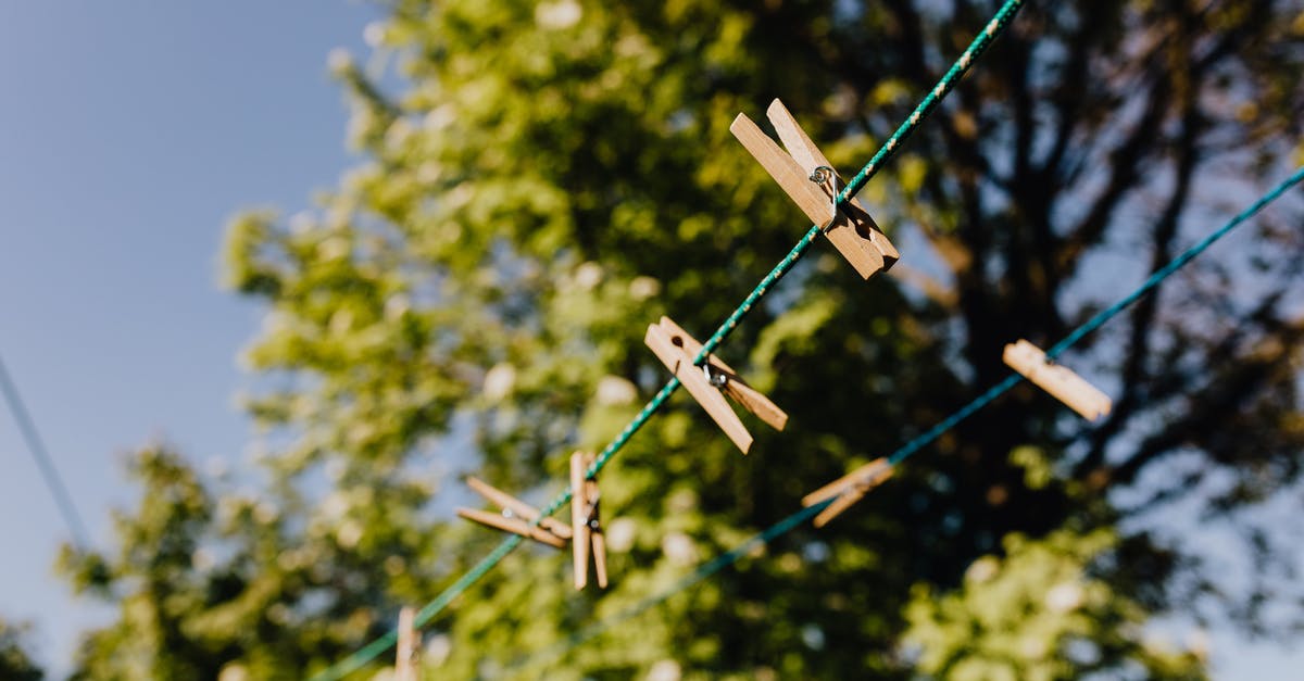 What is this green thing in the sea? - Set of clothespins on ropes under tree