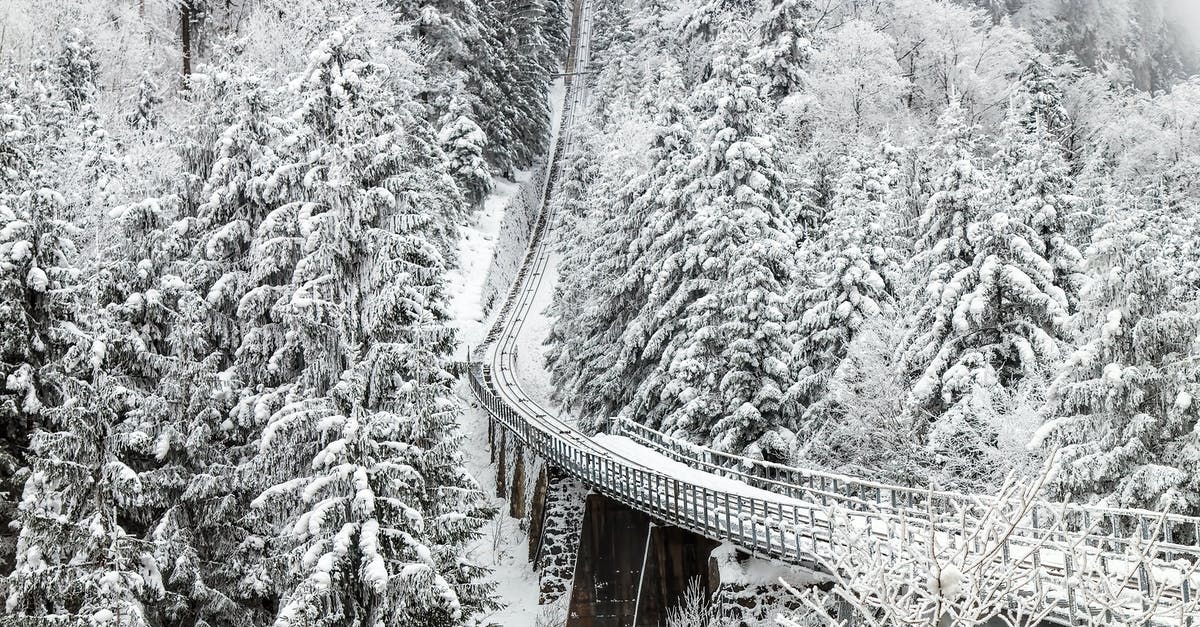 What is this mountain next to the Semmering railway called? - Aerial Photography of Train Rail Between Winter Trees