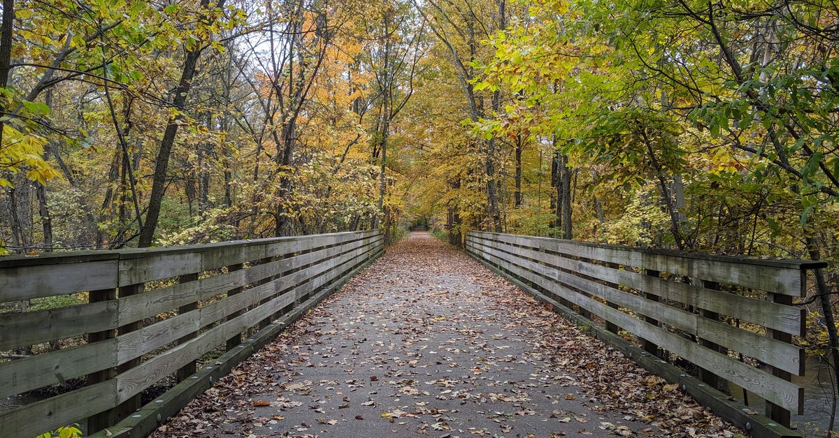 What is this "bridge" over the Suez Canal? - Perspective view of wooden footbridge over streaming river amidst yellow trees in autumnal park