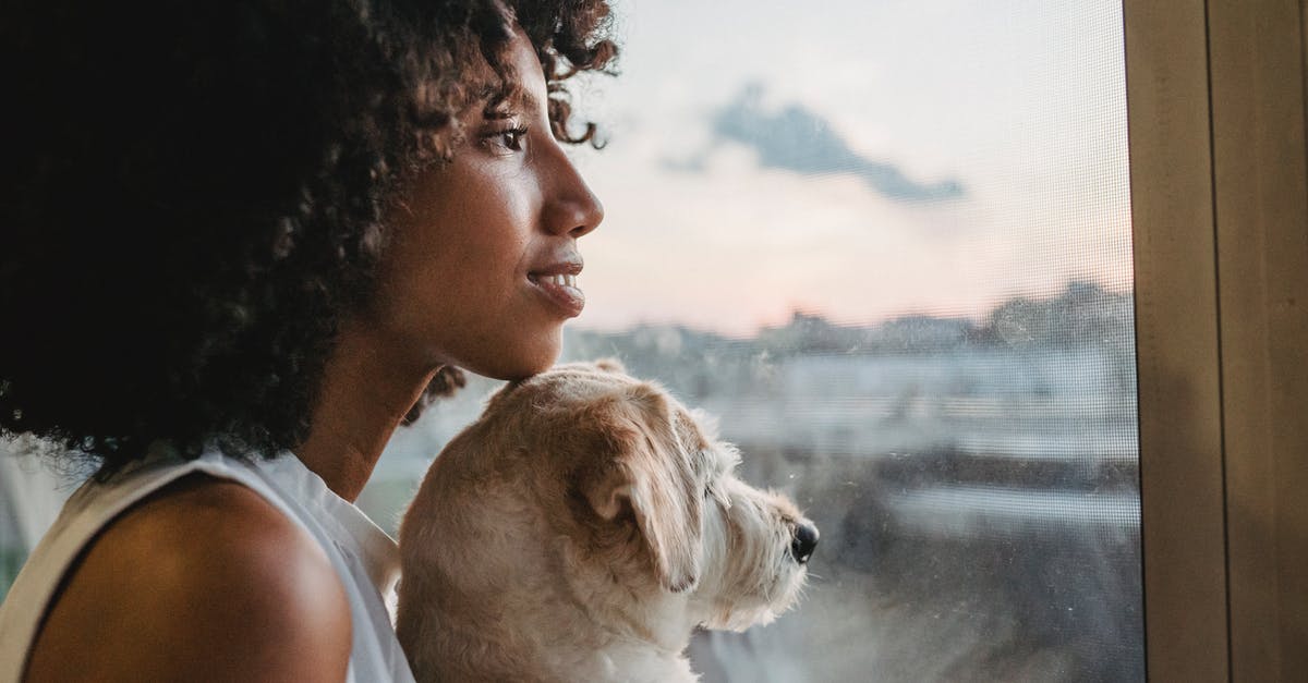 What kind of converter do I need? [closed] - Positive black woman looking at window with purebred dogs