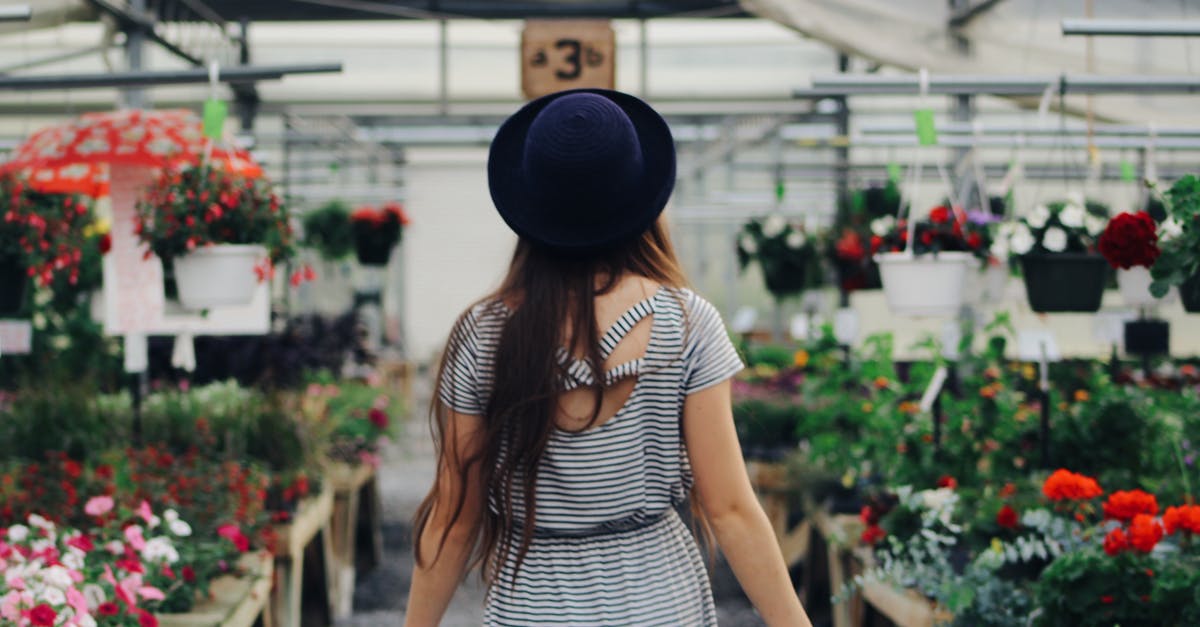 What kind of hat to wear for business in India? - Woman Walking Between Display of Flowers and Plants