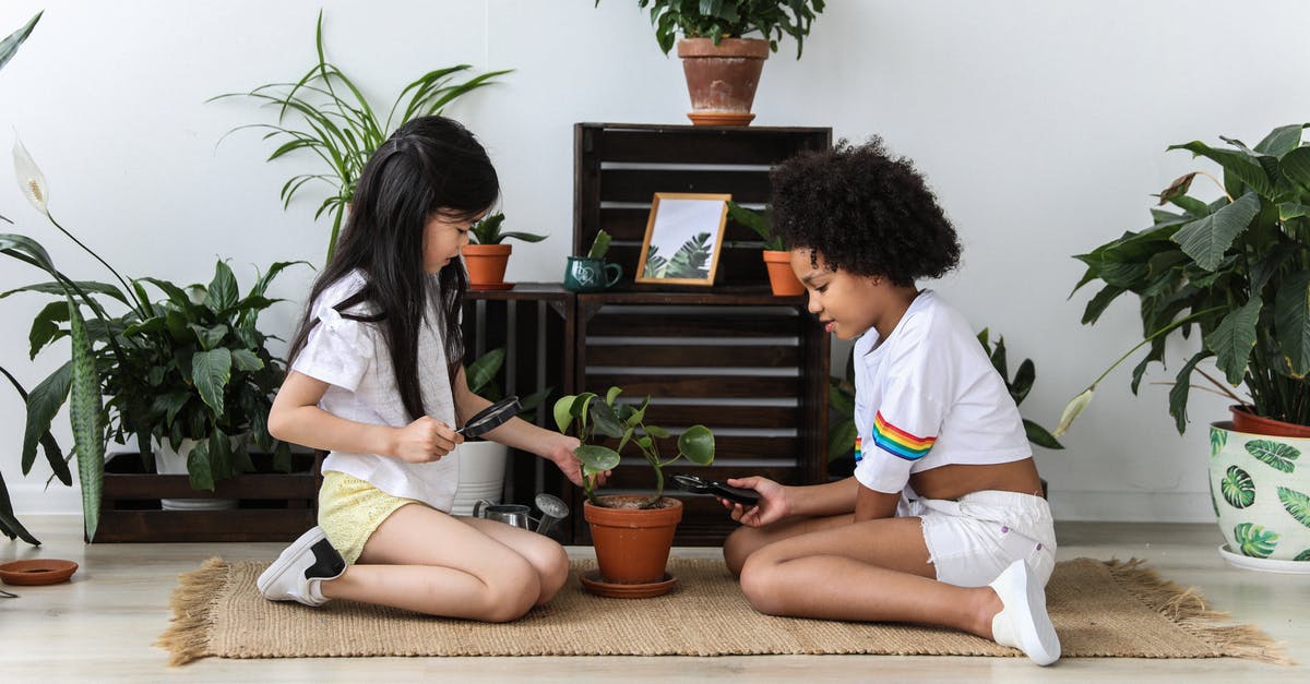 What kind of things can you take from a hotel? - Side view of multiethnic kind girls with magnifier and pruning shear growing green potted plant while sitting on carpet in modern room