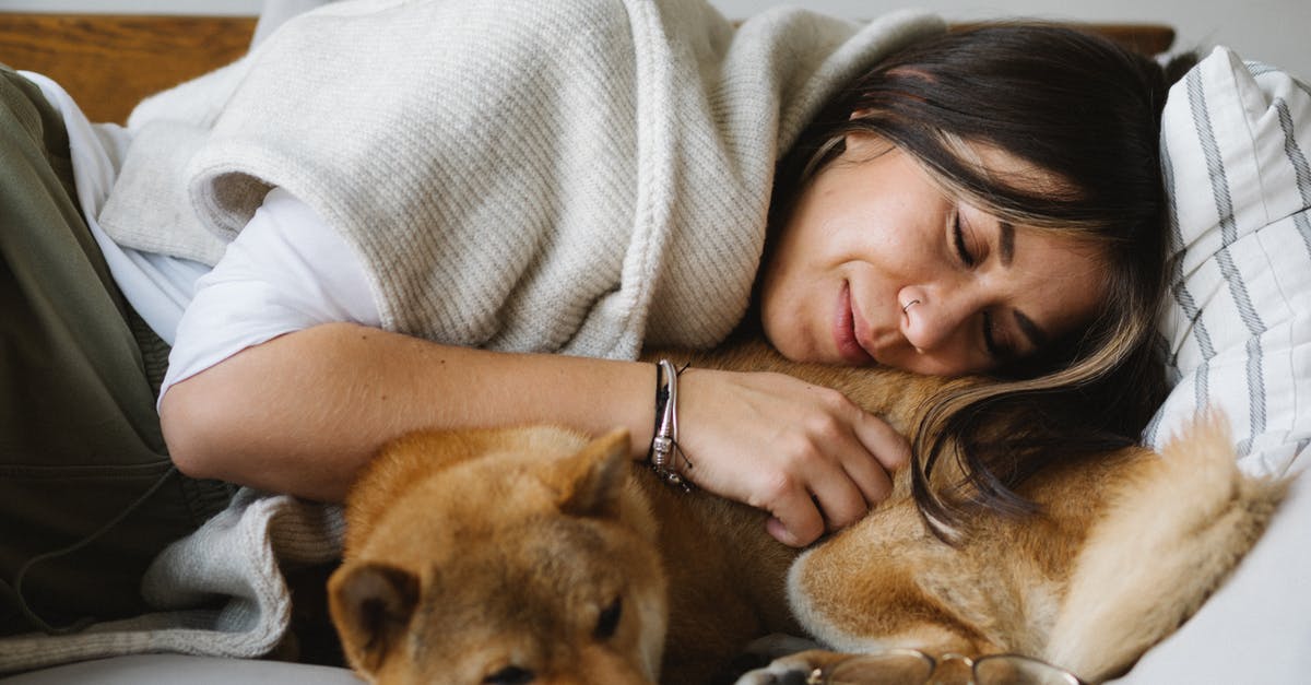 What kind of visa? [closed] - Smiling woman and purebred Shiba Inu dog resting on couch