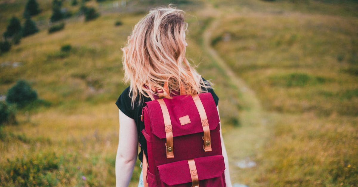 What makes a backpack a women's backpack? - Woman in Red and Black Plaid Dress Shirt Standing on Green Grass Field