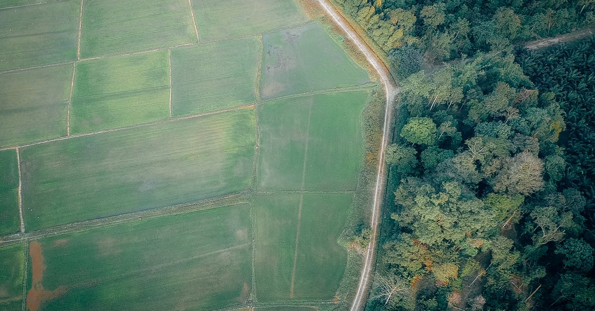 What makes a highway different from other roads? [closed] - Aerial View Photography of Rice Field and Green Forest