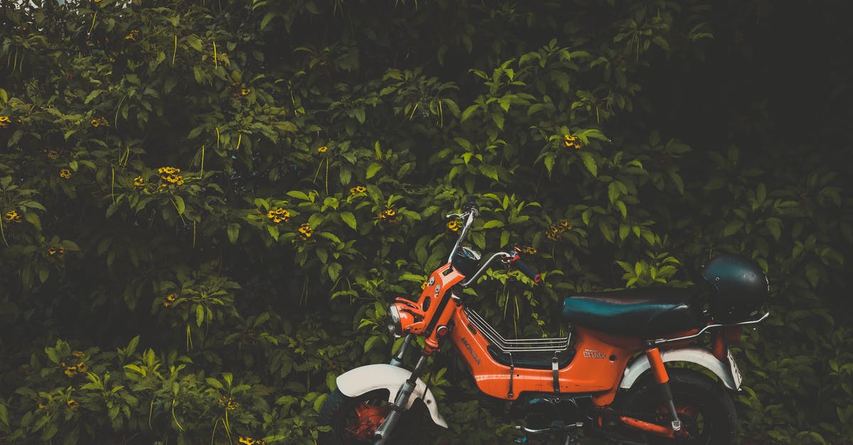 What motorbike to use in Vietnam - Red Motorcycle