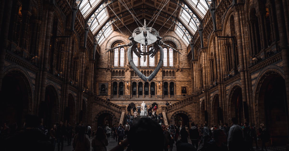 What museums and attractions in London offer interactive exhibits for blind people? - People inside the Natural History Museum 