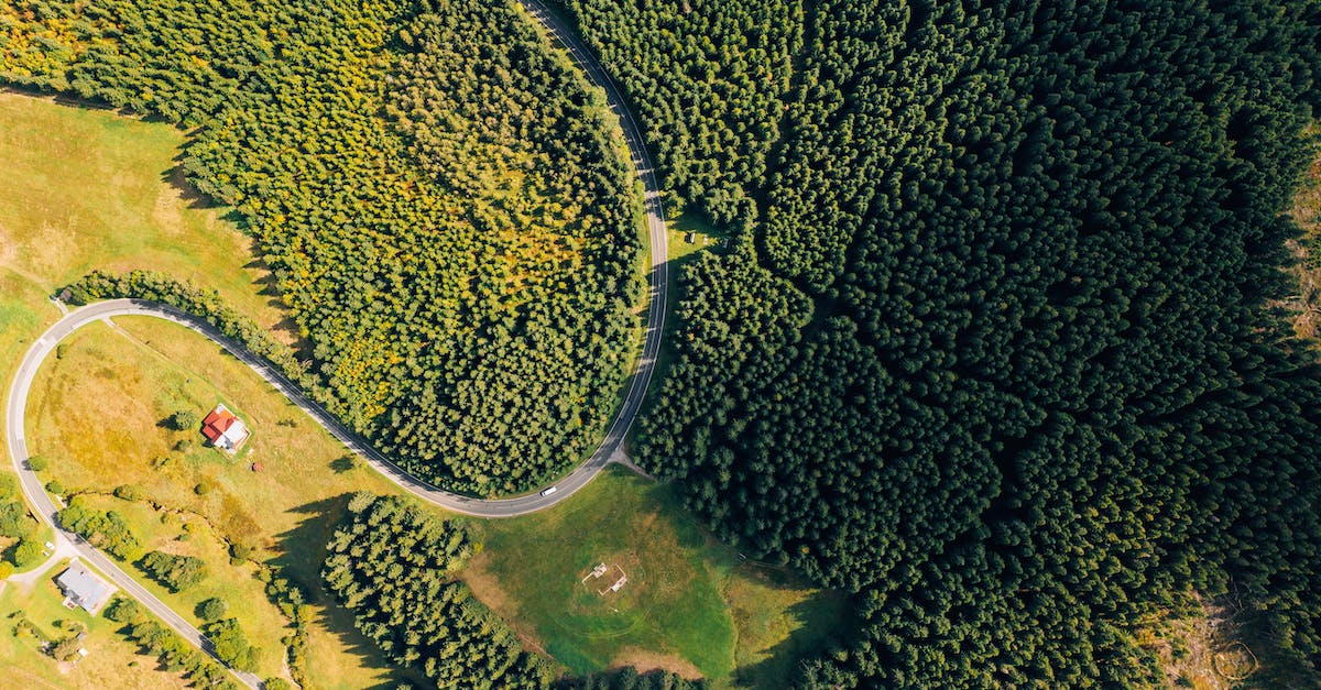 What one-day trips are available from Zurich (Switzerland)? - Aerial Photography of Green Trees