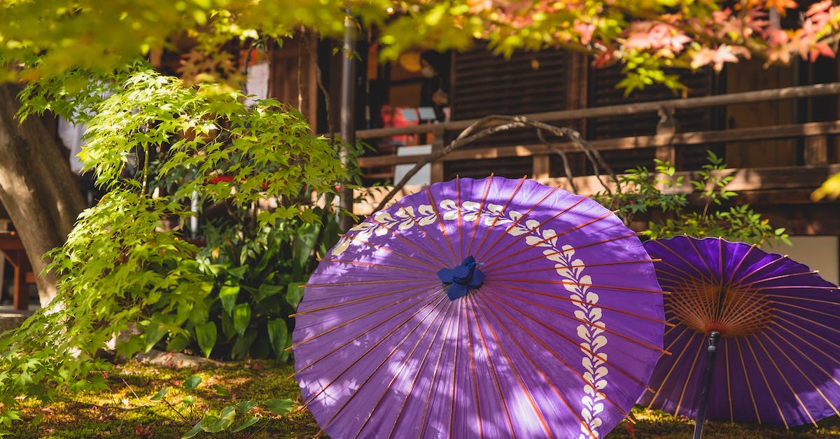What options do I have to go from Bukit Batok to the Chinese Gardens in Singapore? - Lilac umbrella in garden near house