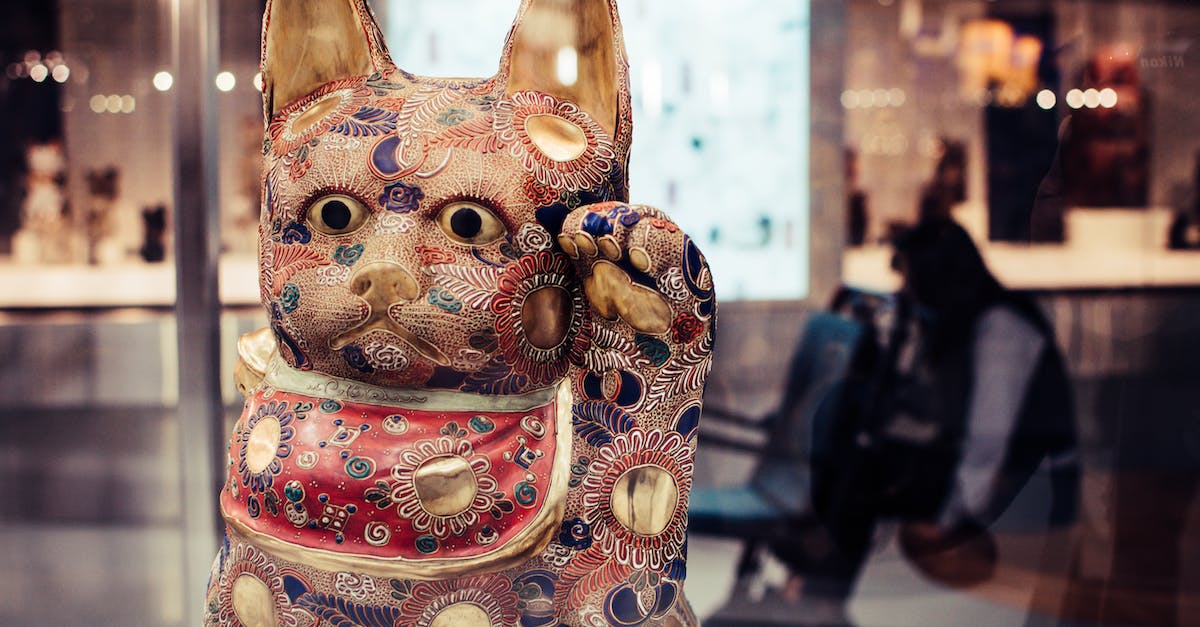 What recommended festivals are there in San Francisco during Aug- Sep? - Shallow Focus Photography of Maneki-neko Figurine