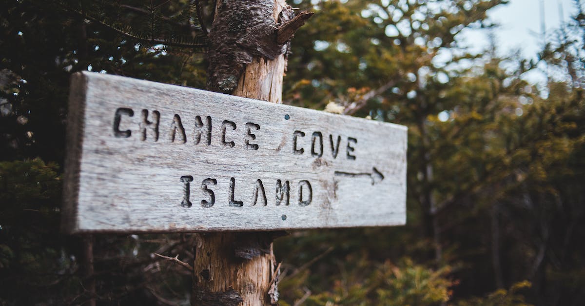 What techniques exist for increasing the chances of getting to a destination during widespread disruption? - Sign on tree trunks with arrow and Chance Cove Island text