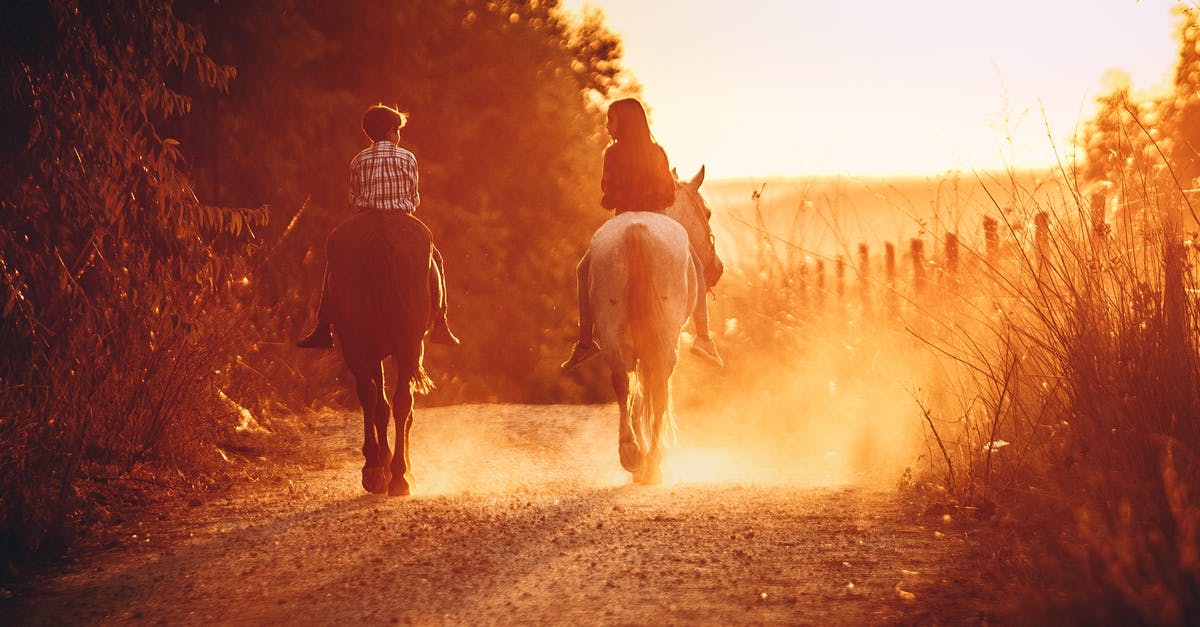 What time zone do trains in Russia operate on? - Back view of anonymous children riding purebred stallions on sandy walkway near growing trees and wooden fence on bright sunny day in countryside