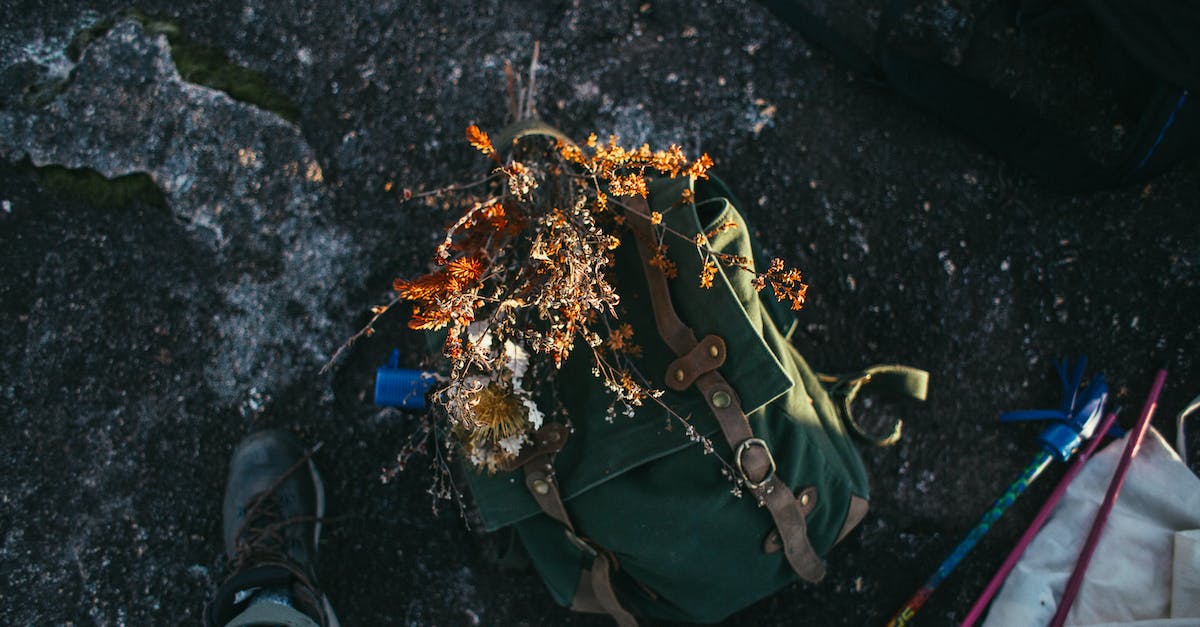 What to do if drugs / a bomb are planted in your travel bag? - Crop hiker with backpack on ground