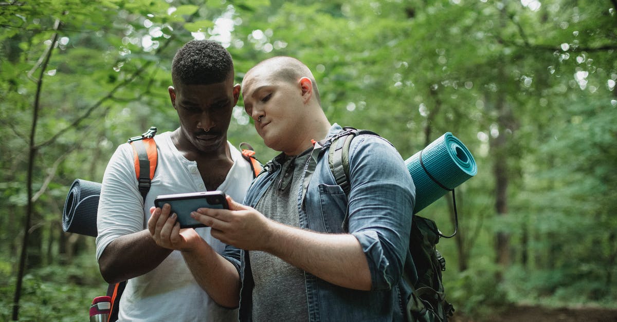 What would I need to do if my travel documents are lost in a natural disaster? - Focused multi ethnic backpackers watching smartphone while finding location in woodland in daytime on blurred background