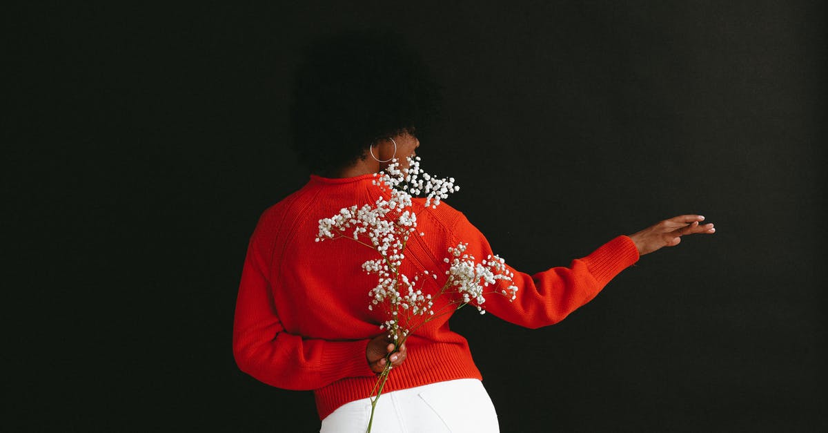 When and how to see the Red Crabs on Christmas Island? - Back view of sensual black woman in white denim and white red sweater holding Gypsophila flower behind back posing on black backdrop