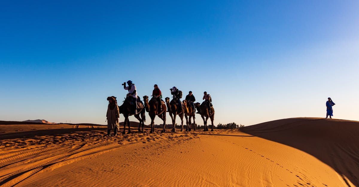 When are Morocco desert camel excursions available? - People Riding on Camels