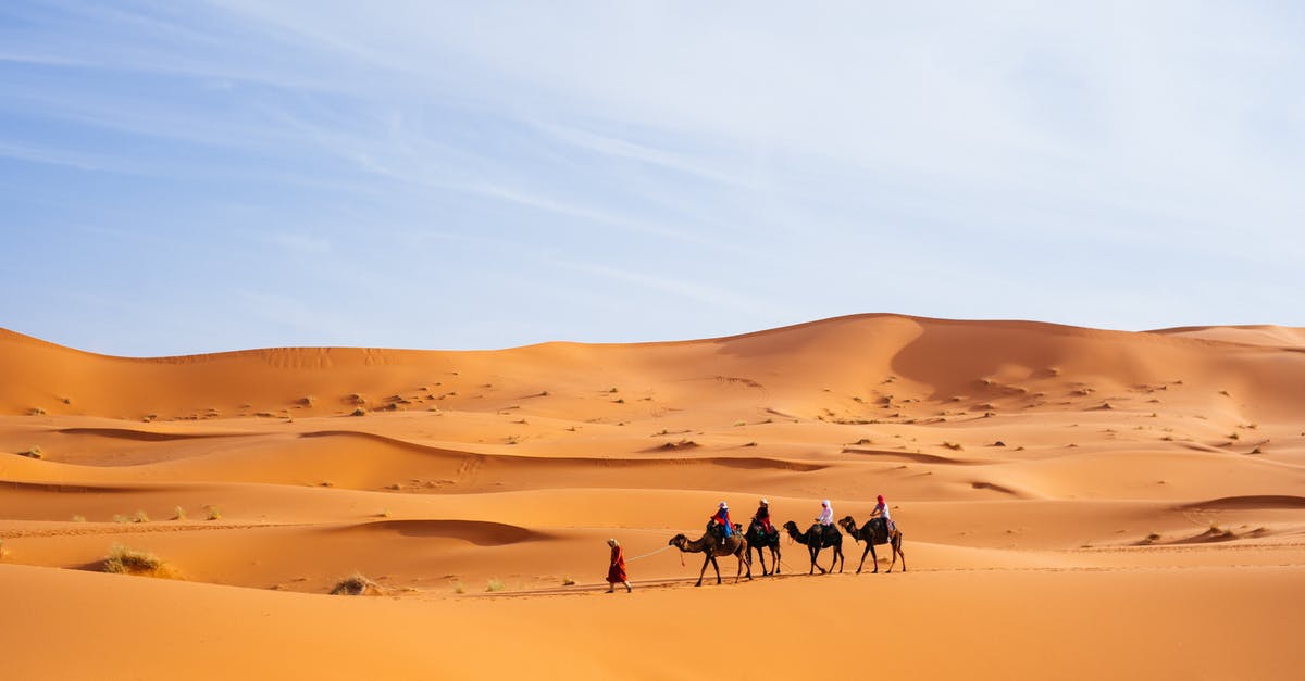 When are Morocco desert camel excursions available? - People Riding Camels in the Sahara Desert