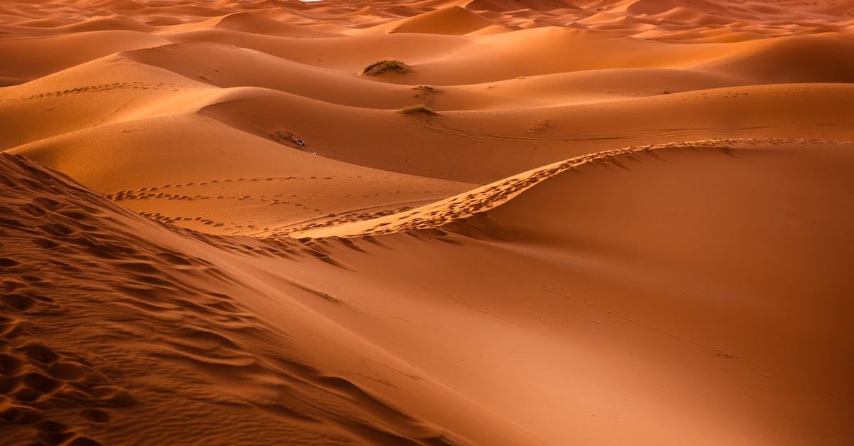 When are Morocco desert camel excursions available? - Brown Dessert