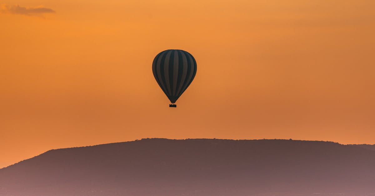 When booking a safari in Tanzania is the price negotiable? - Wild herbivore animals grazing on grassy terrain near mountains against picturesque sunset sky with hot air balloon flying in national park Serengeti Tanzania Africa