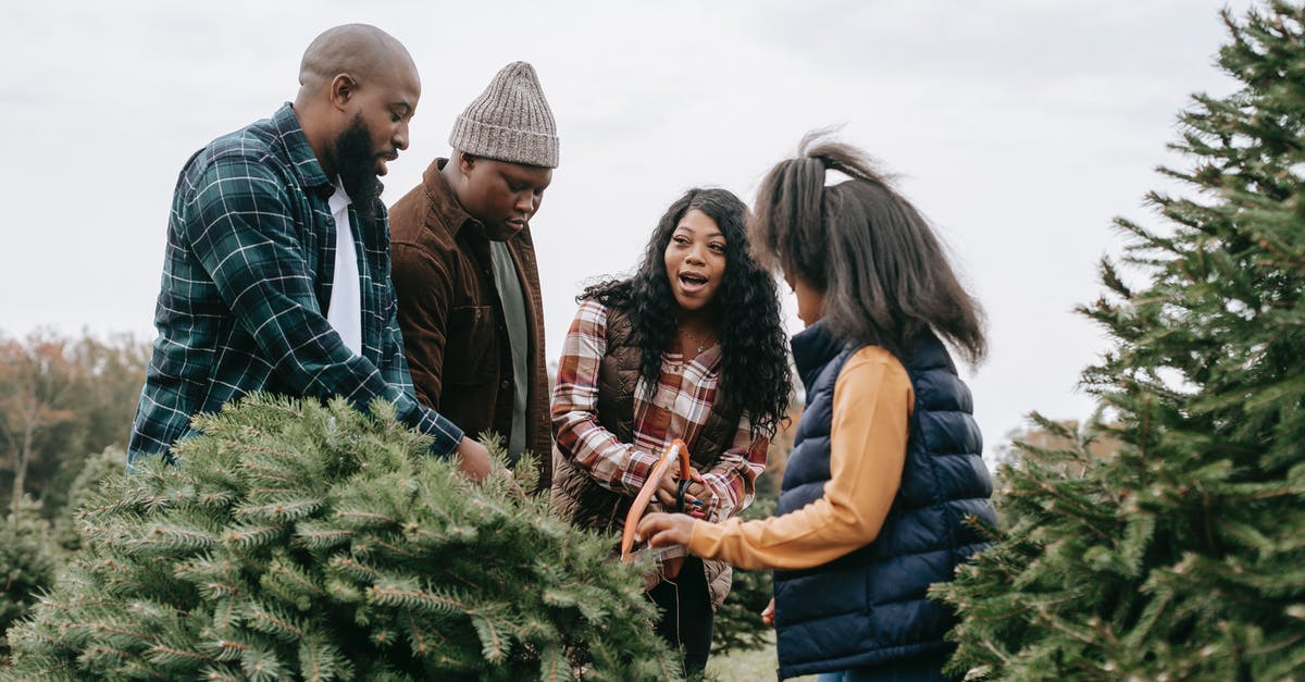 When will Allegiant open its schedule for December 2018? [duplicate] - Black family cutting down fir tree