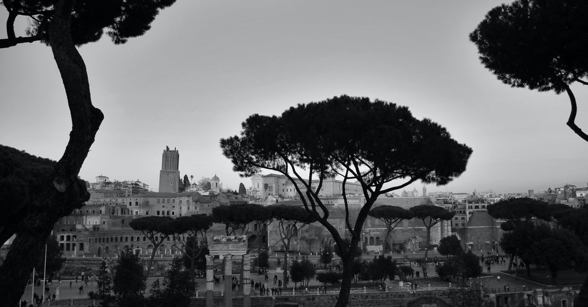 When will the Museum of Roman Civilization in Rome re-open? - Umbrella pines growing on old city street in daytime