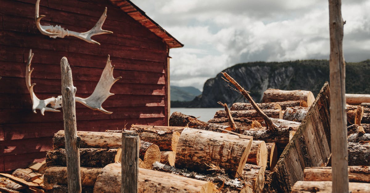 Where's this in Gros Morne National Park? - Chopped Wood in Front of Cabin with Moose Antlers in Gros Morne National Park, Canada