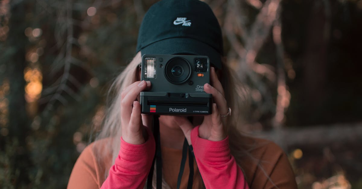 Where's this picture of a glacial moraine in autumn taken? - Woman Holding A Polaroid Camera