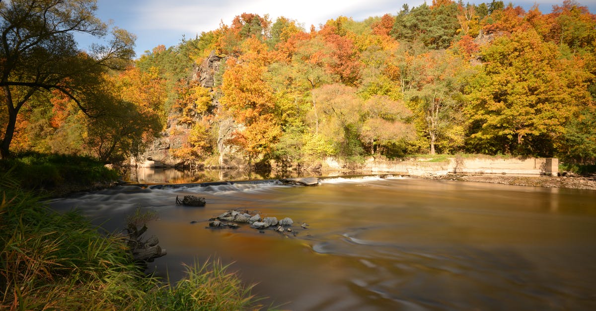 Where's this "vibrant fall foliage" "along the shores of Jasper's Athabasca River"? - Autumn forest on coast of river on sunny day