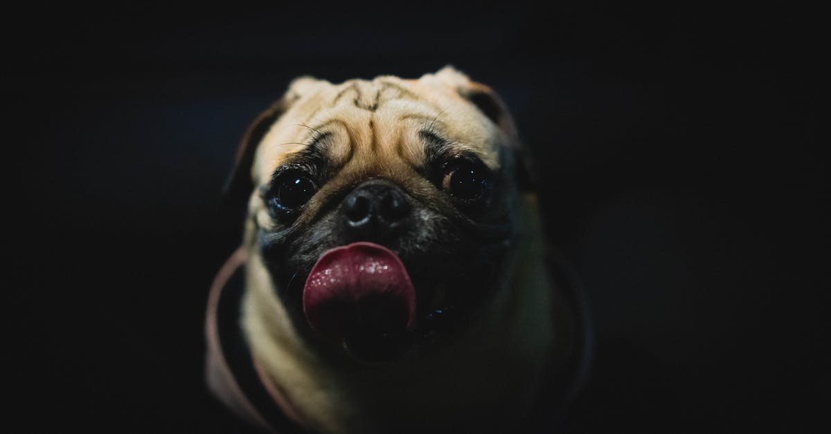 Where's this shore look out in Oregon? [closed] - Portrait Photo of Pug