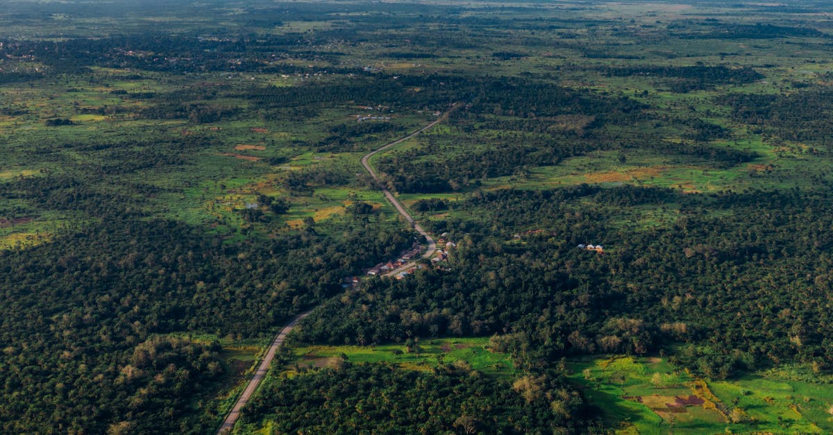 Where's this swanky house and vineyard near a mountain? - Aerial View of Vast Lush Land With Houses Built Along The Side Of A Road