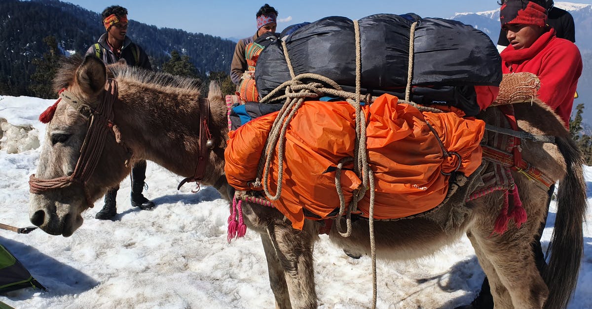 Where are carry-on bags checked at gate stored? - Horse Carrying Bags in Mountains