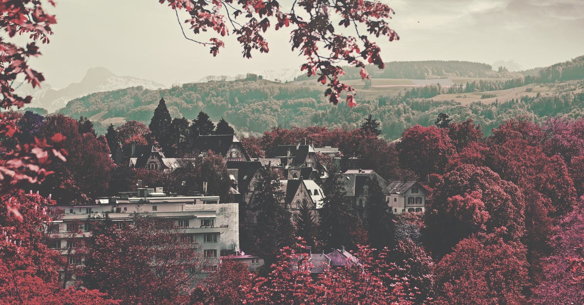 Where are these two hills with fall foliage in Saguenay QC? - City Buildings Surrounded Maroon Leaved Forest during Daytime