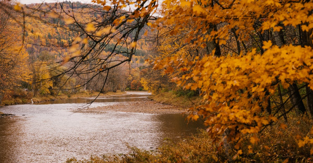 Where are these two hills with fall foliage in Saguenay QC? - Picturesque autumn scenery of forest with yellow forest and calm shallow river on hilly terrain