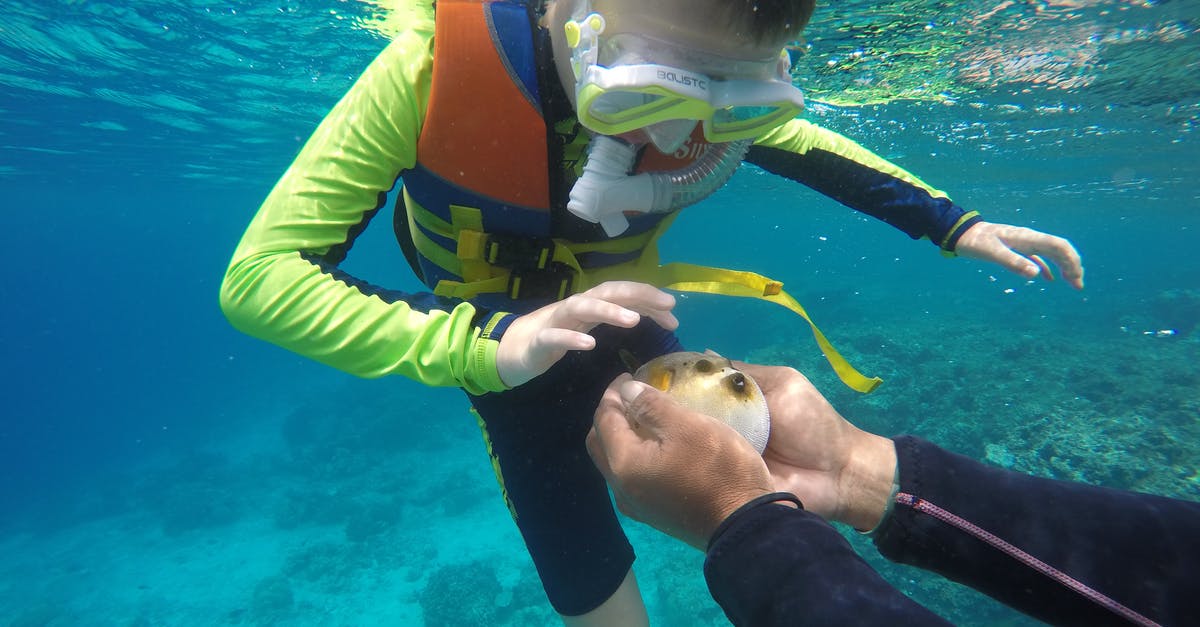 Where can I go windsurfing or snorkeling in July in southern India? - Woman in Yellow and Black Wetsuit Wearing White Goggles
