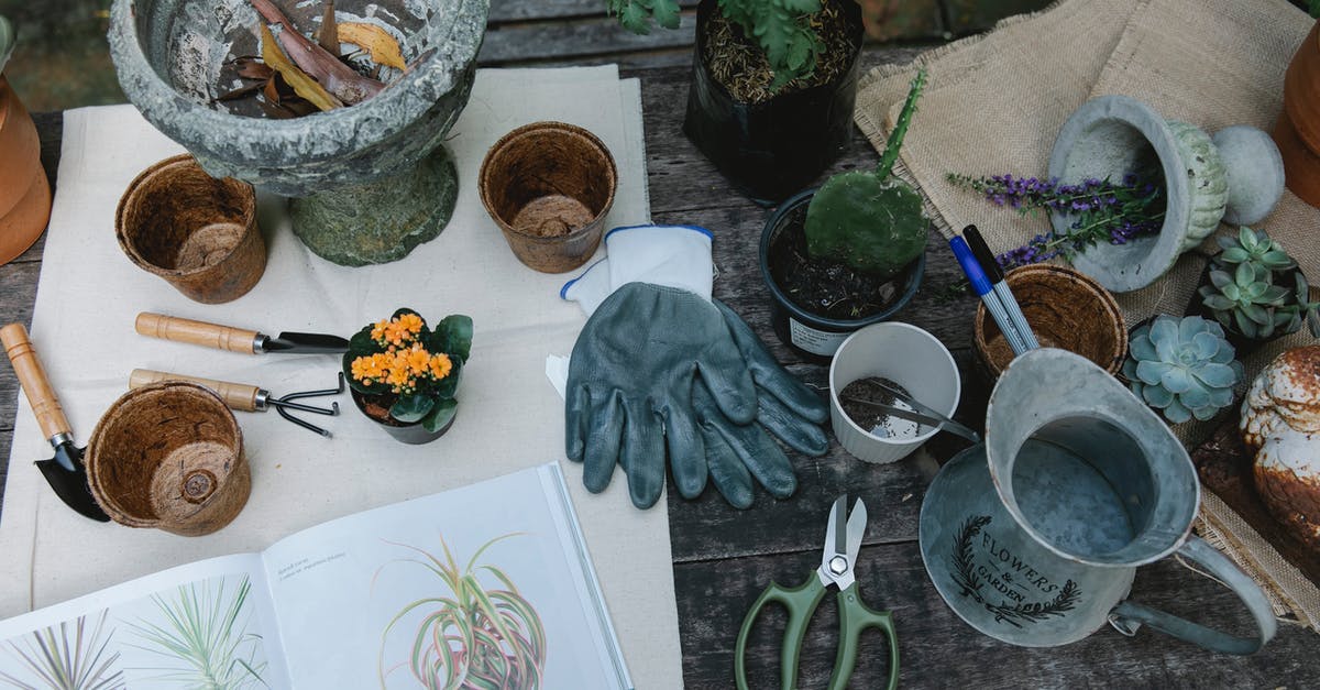 Where can I learn about the earthquake and reconstruction of Christchurch? - From above of shovel hoe and rake for gardening placed near pots and succulents with opened book