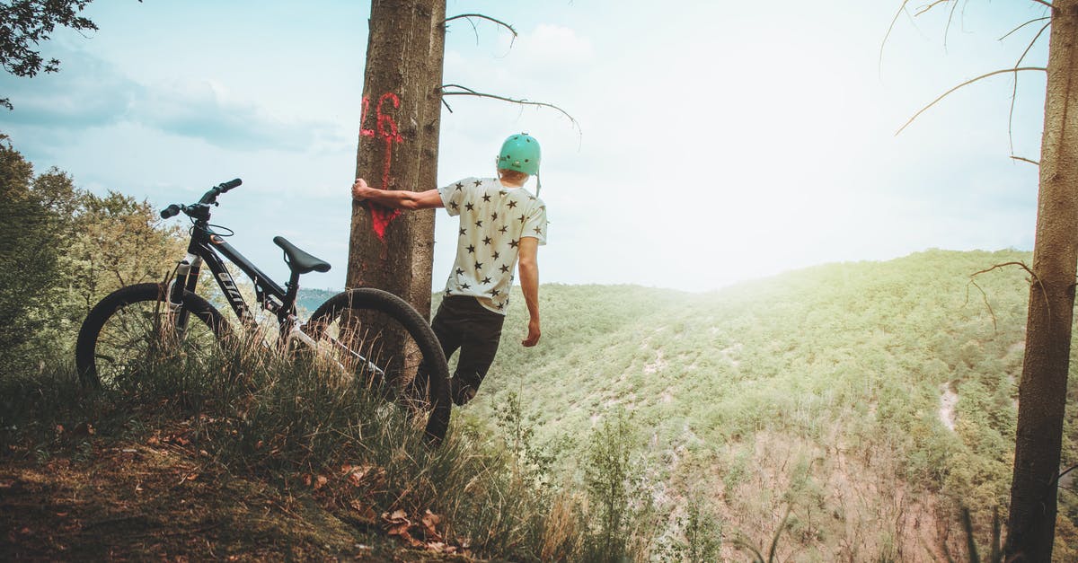 Where can I rent a mountain bike in Puerto Vallarta, Mexico? - Man Holding Tree Enjoying the View Mountain