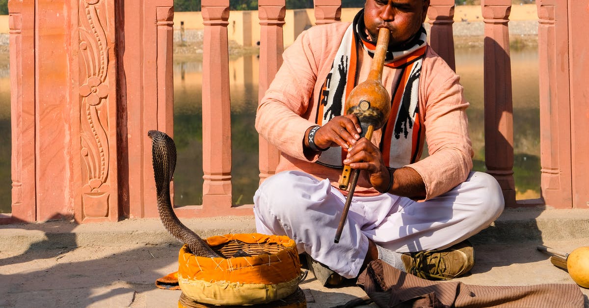 Where can I see snake charmers in India? - Man in Red and White Hat and White Thobe Holding Brown Wooden Stick