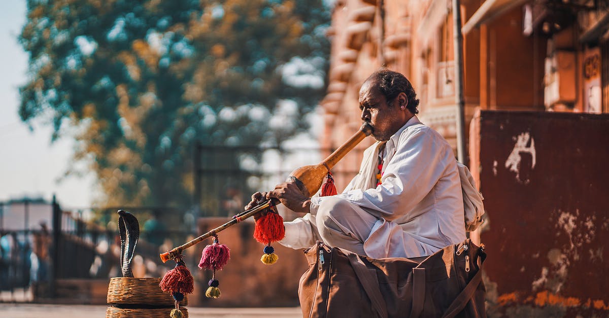 Where can I see snake charmers in India? - A Man Performing on the Street