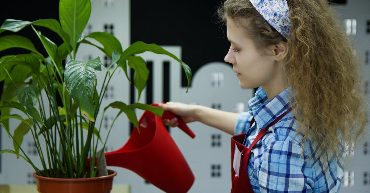 Where can I store luggage in Bogota, Colombia? - Woman Watering Plant